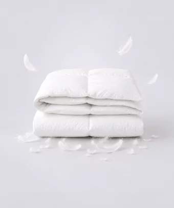 Couette Charme – Duvet de canard et percale douce