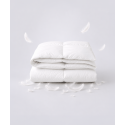 Couette Charme – Duvet de canard et percale douce