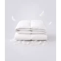 Couette Charme – Duvet de canard et percale douce