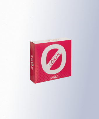 Protège-Oreiller Lökan – Confort naturel, lavable à 60°C